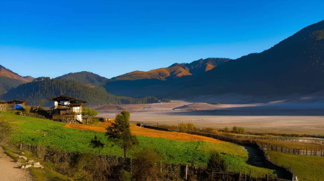 Wide valley and forested hills in Bhutan